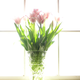 Image for article titled Shooting Challenge: Overexposed